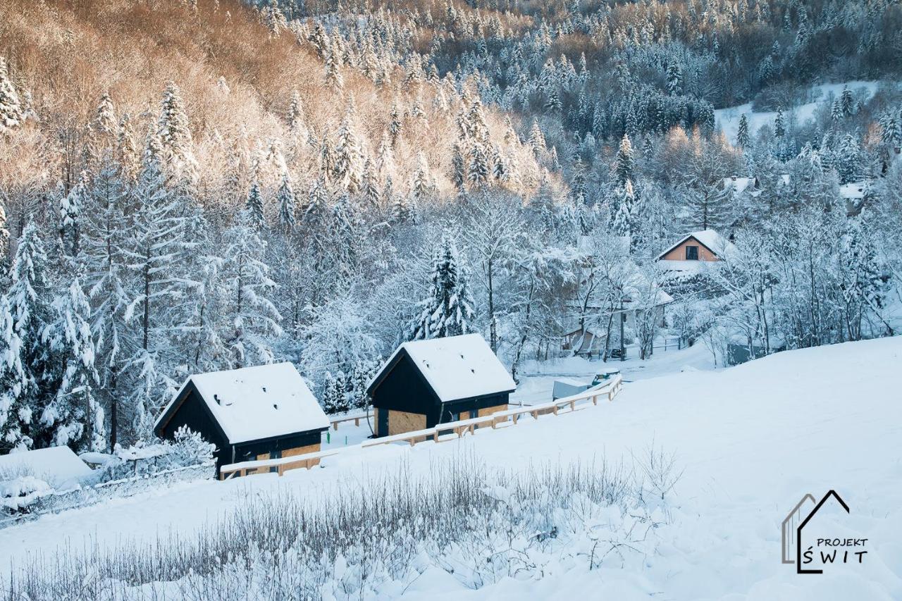 Projekt Swit - Domki Z Prywatna Jacuzzi I Sauna Żywiec Dış mekan fotoğraf