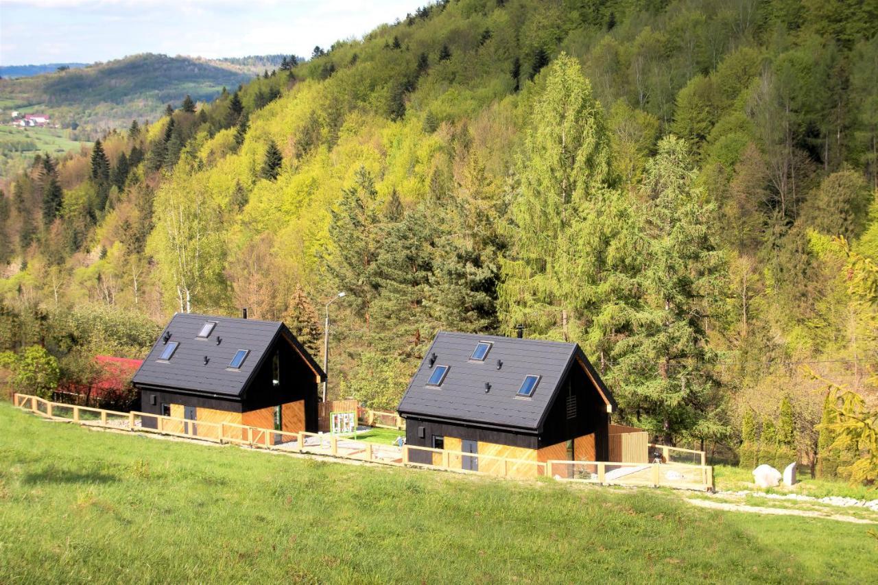 Projekt Swit - Domki Z Prywatna Jacuzzi I Sauna Żywiec Dış mekan fotoğraf