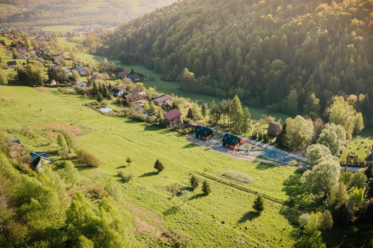 Projekt Swit - Domki Z Prywatna Jacuzzi I Sauna Żywiec Dış mekan fotoğraf